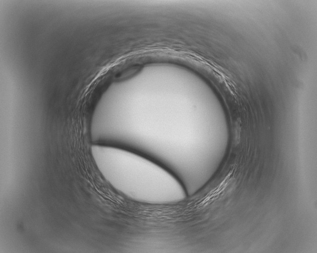 X0000116121494200911230920
