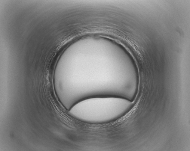 X0000116121497200911230920