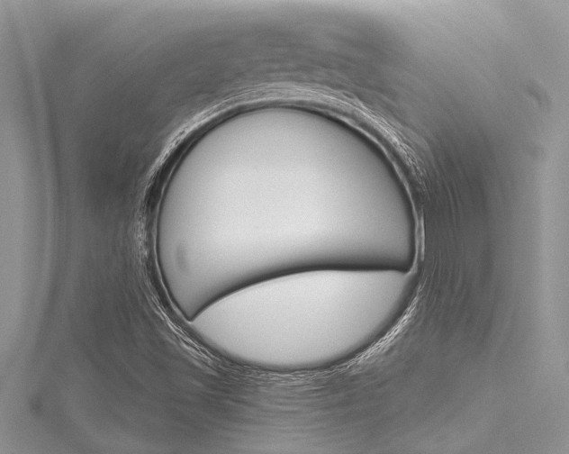X0000116121501200911230920