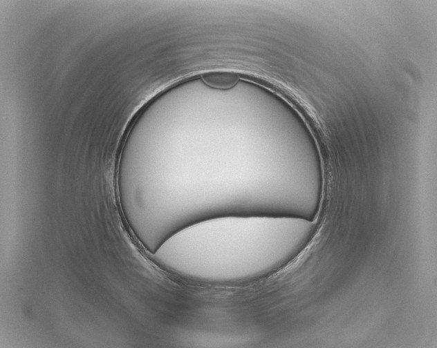 X0000116121513200911230920