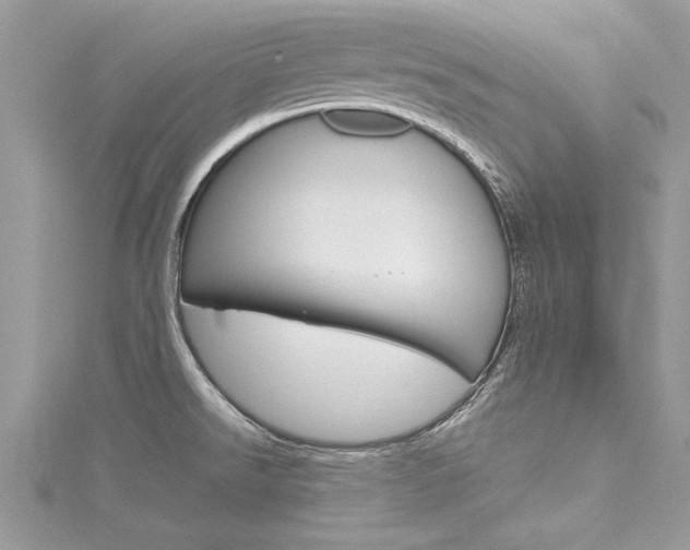 X0000116121526200911230920