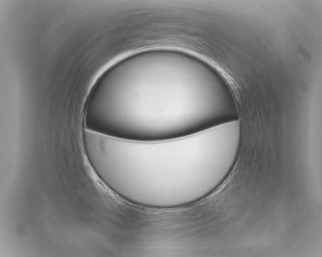 X0000116121534200911230920