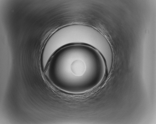 X0000116120001200911231224