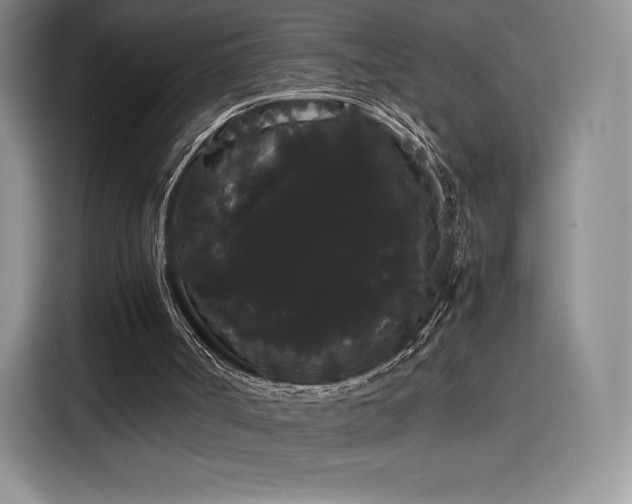 X0000116120002200911231224