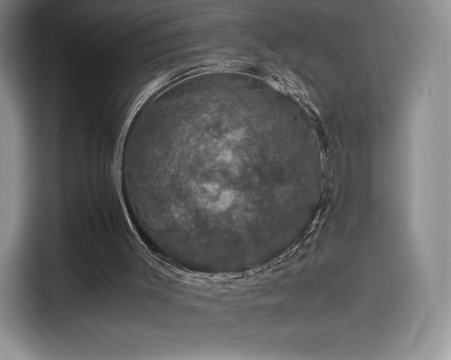 X0000116120003200911231224