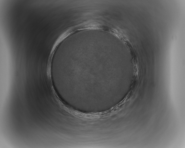 X0000116120004200911231224