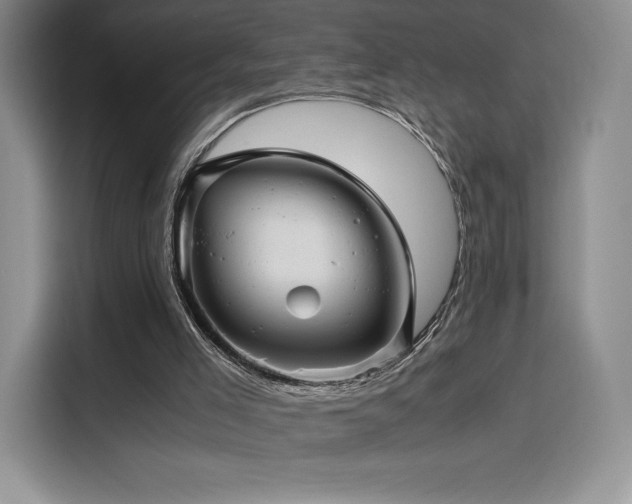 X0000116120005200911231224