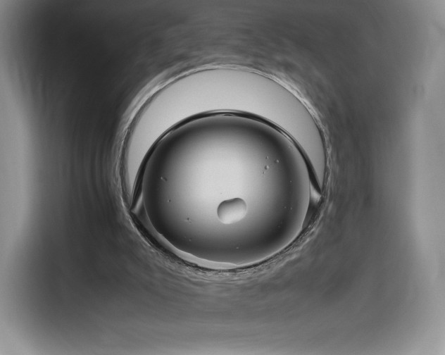 X0000116120007200911231224