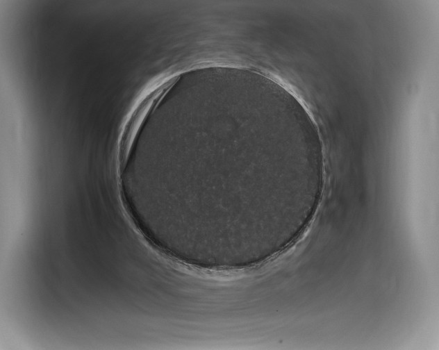 X0000116120008200911231224