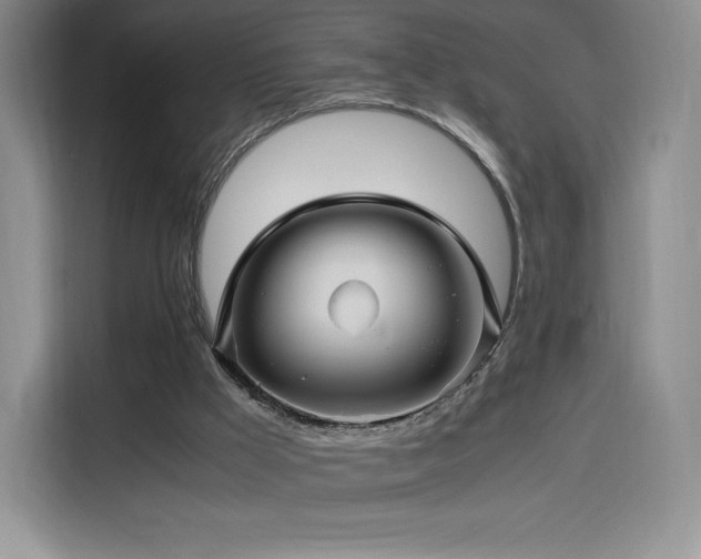 X0000116120009200911231224