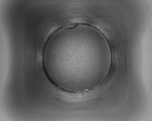 X0000116120015200911231224