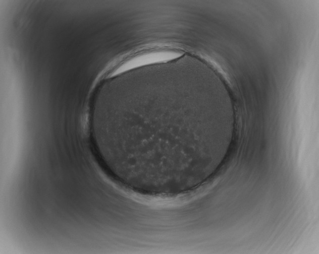 X0000116120016200911231224