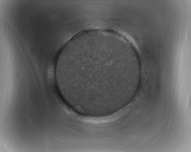 X0000116120017200911231224