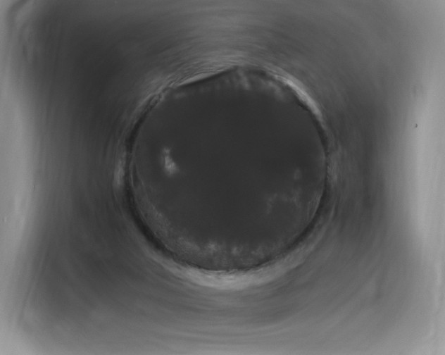 X0000116120018200911231224