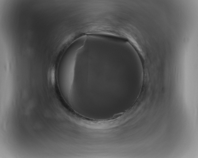 X0000116120019200911231224