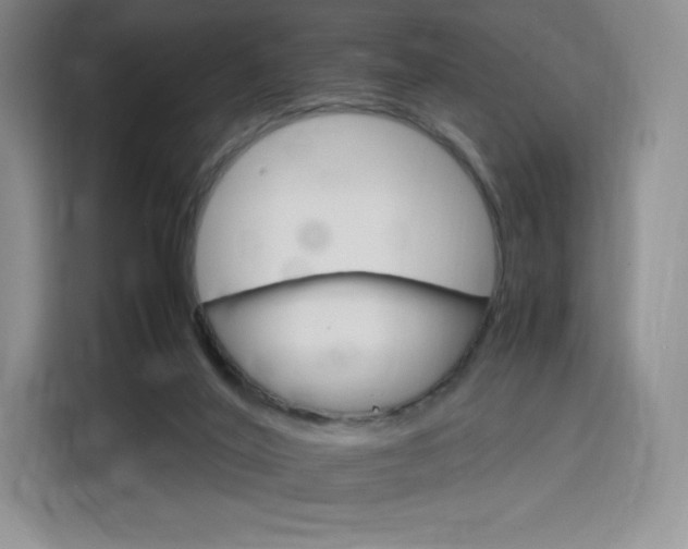 X0000116120020200911231224