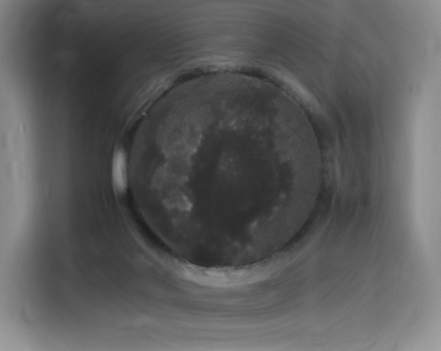 X0000116120022200911231224