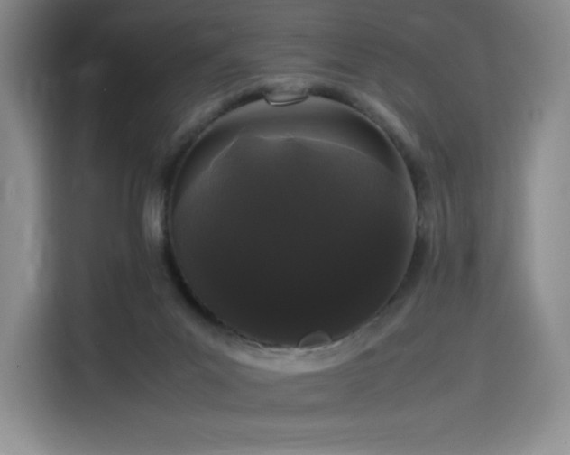 X0000116120023200911231224