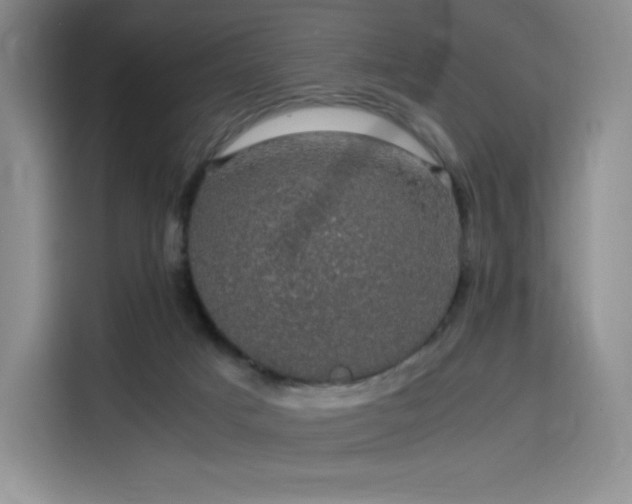 X0000116120025200911231224