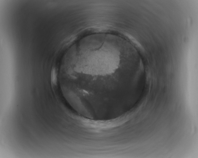 X0000116120026200911231224