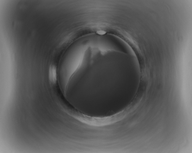 X0000116120027200911231224