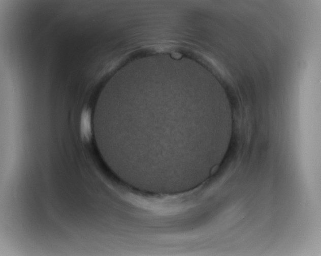 X0000116120028200911231224