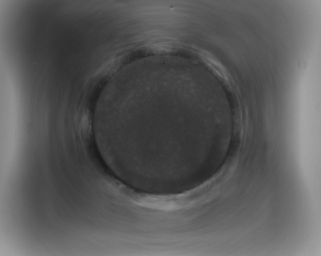 X0000116120029200911231224