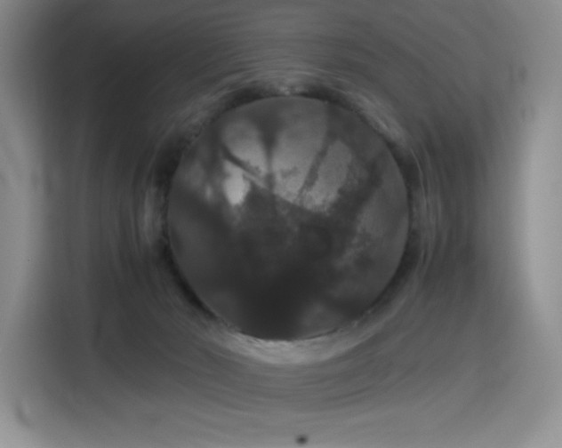 X0000116120030200911231224