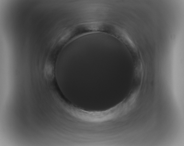 X0000116120031200911231224