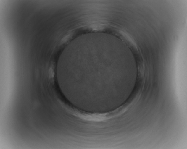 X0000116120032200911231224