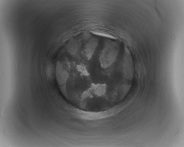 X0000116120034200911231224