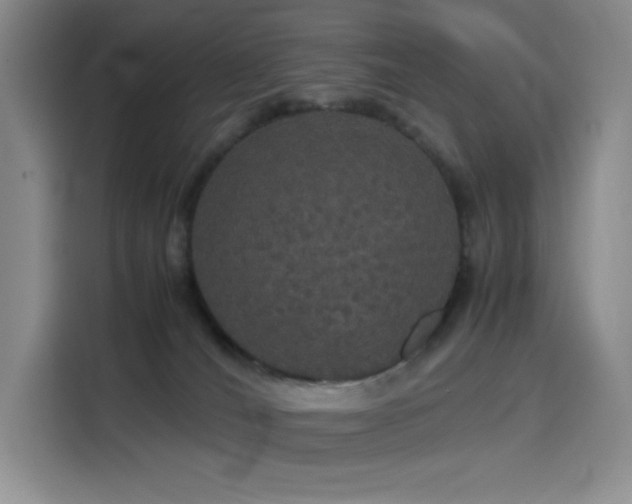 X0000116120036200911231224