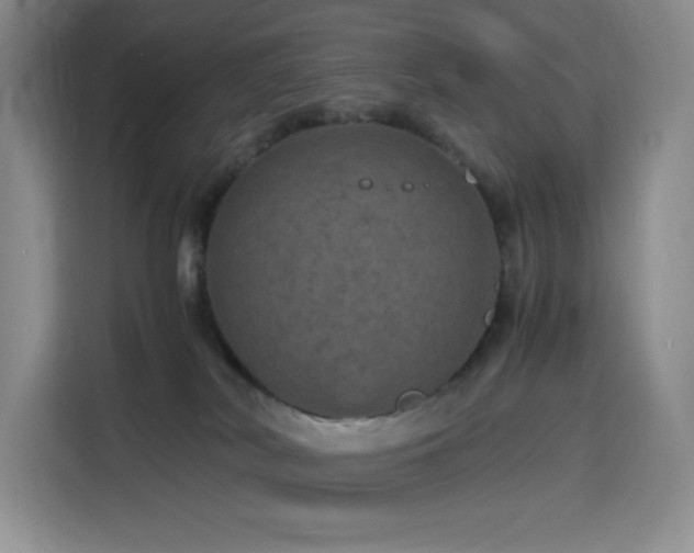 X0000116120038200911231224