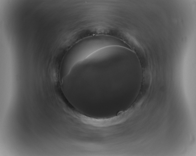 X0000116120039200911231224