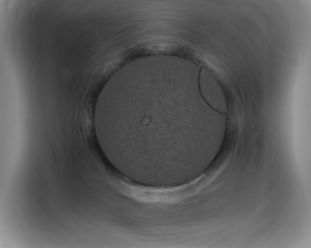 X0000116120040200911231224