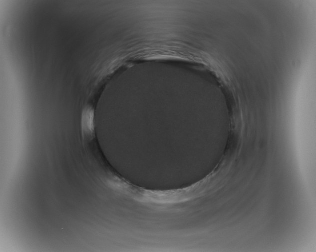 X0000116120041200911231224