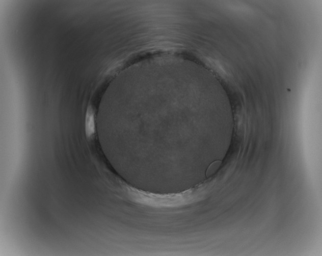 X0000116120042200911231224