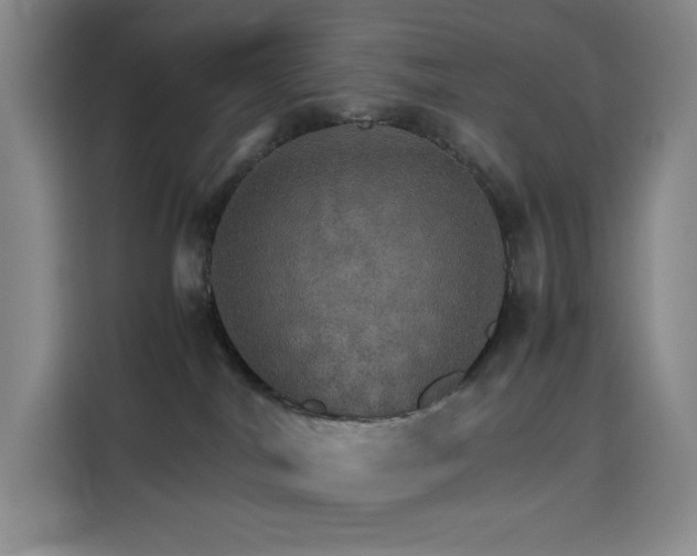 X0000116120044200911231224