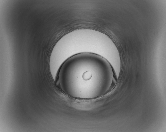 X0000116120045200911231224