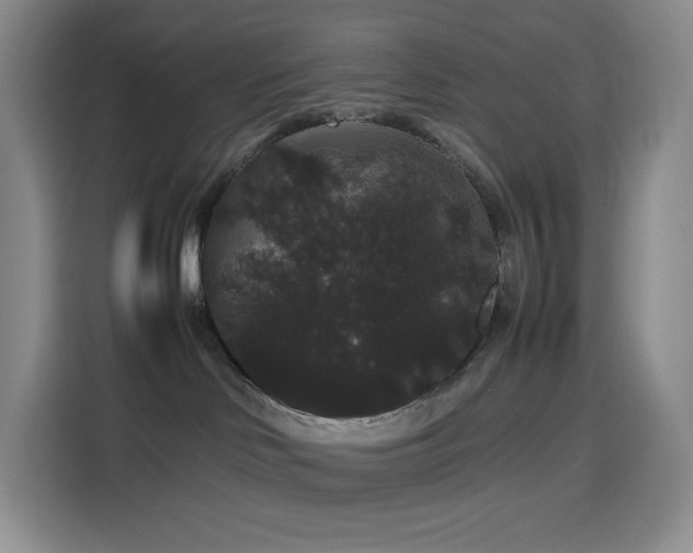 X0000116120046200911231224