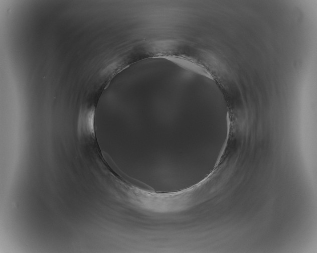 X0000116120047200911231224