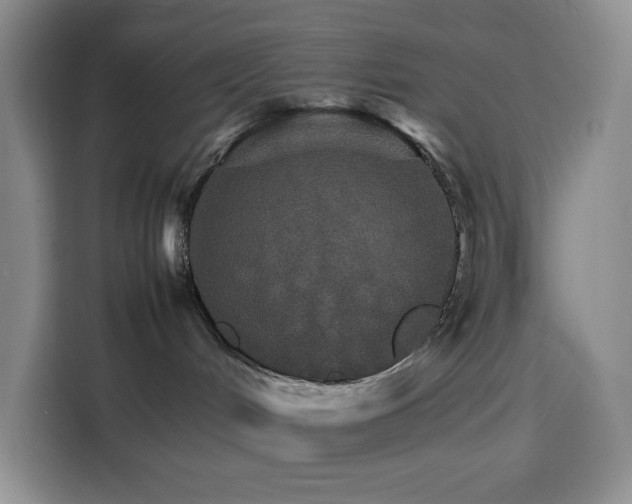 X0000116120048200911231224