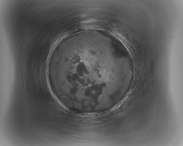 X0000116120049200911231223