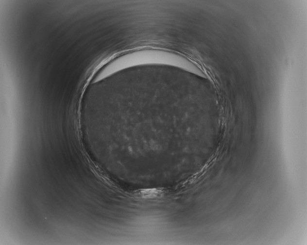 X0000116120050200911231223