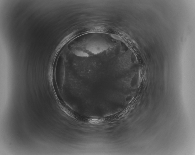 X0000116120051200911231223