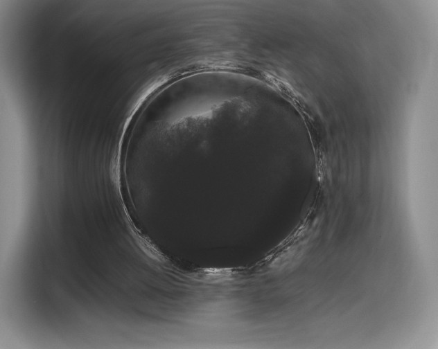 X0000116120052200911231223