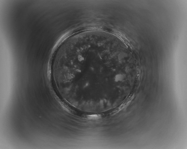 X0000116120053200911231223