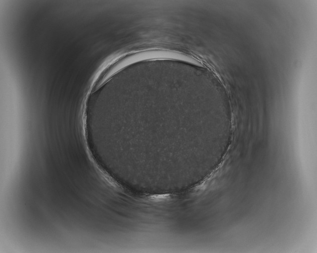 X0000116120054200911231223