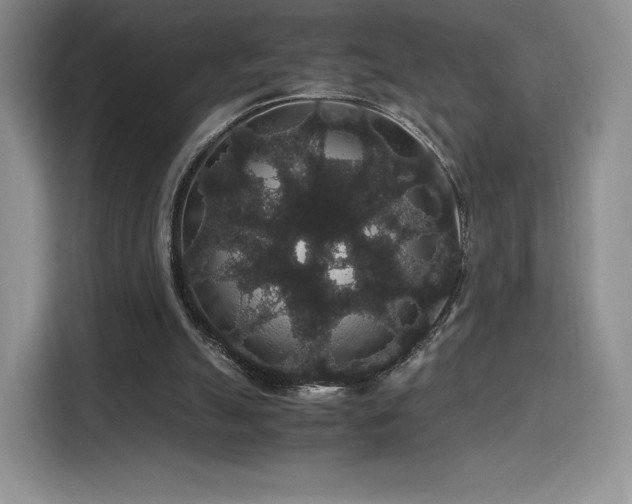 X0000116120055200911231223