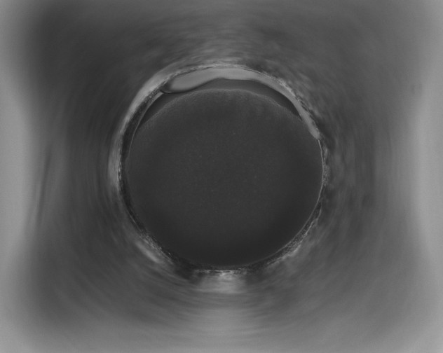 X0000116120056200911231223